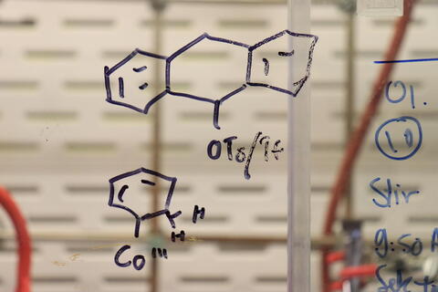 sketching of ligands